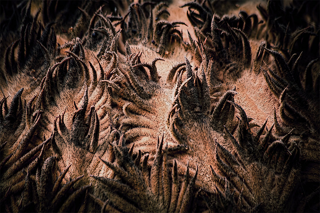 Abstractions