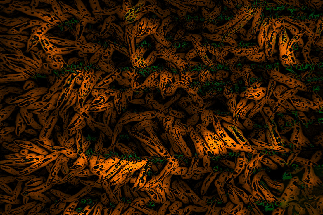 Abstractions