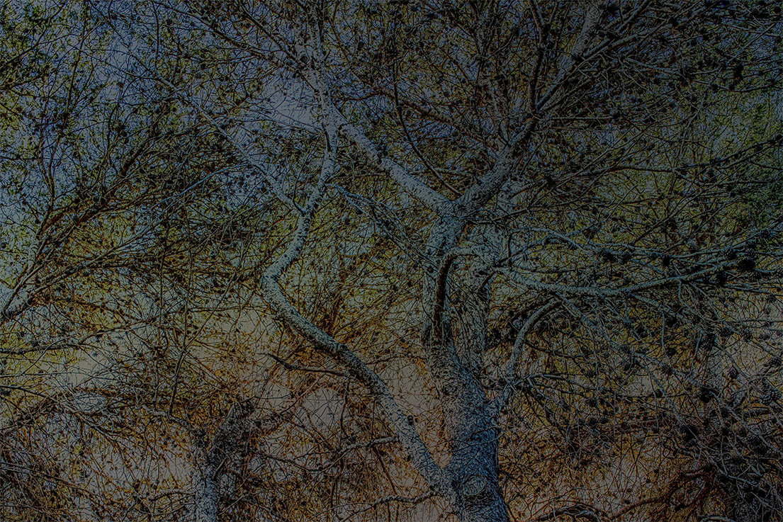 Abstractions