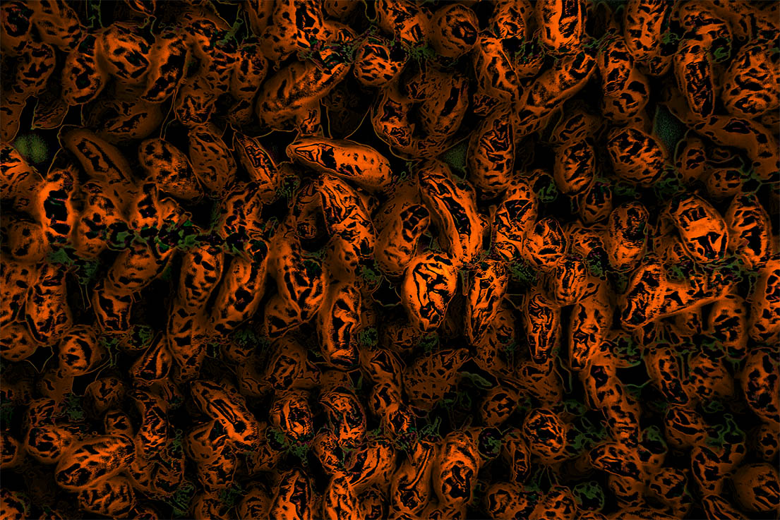 Abstractions