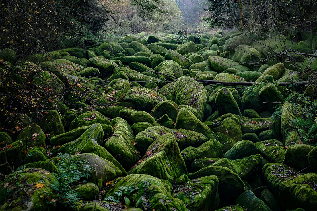 Nature